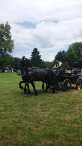 Središki konjeniki udeležbo v Zelendvoru kronali z zmago dvovpreg